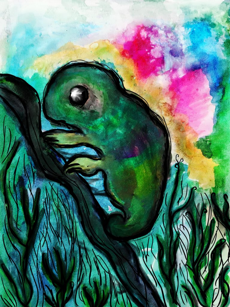 chameleon illustration ink