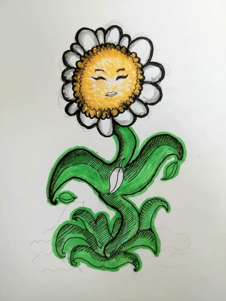 flowia inktober flower drawing